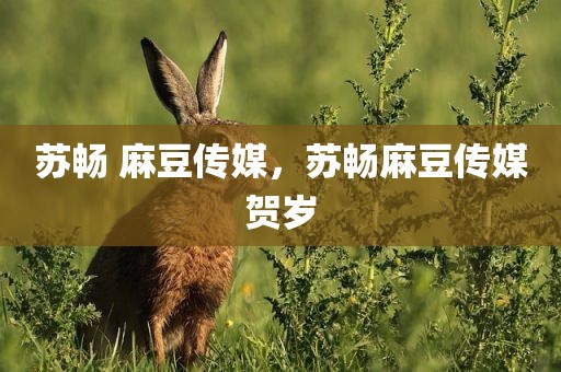 苏畅 麻豆传媒，苏畅麻豆传媒贺岁