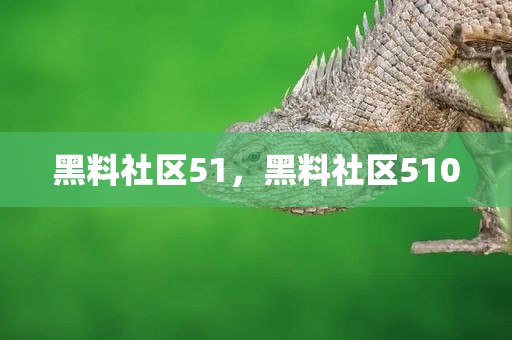黑料社区51，黑料社区510