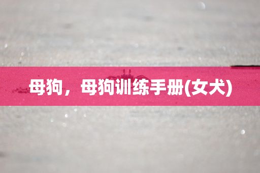 母狗，母狗训练手册(女犬)