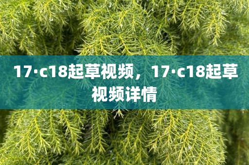 17·c18起草视频，17·c18起草视频详情