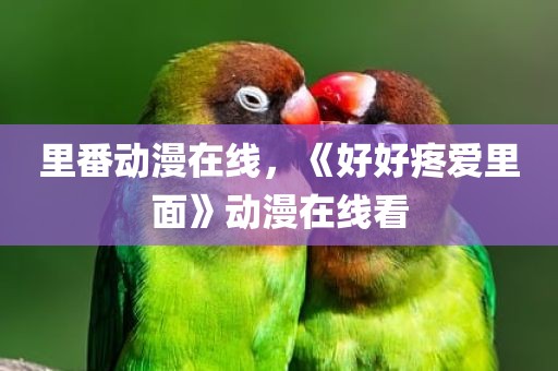 里番动漫在线，《好好疼爱里面》动漫在线看