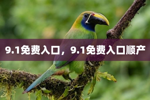 9.1免费入口，9.1免费入口顺产
