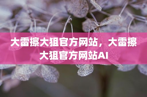大雷擦大狙官方网站，大雷擦大狙官方网站AI