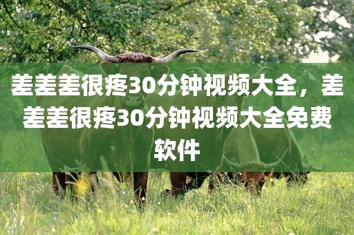 差差差很疼30分钟视频大全，差差差很疼30分钟视频大全免费软件