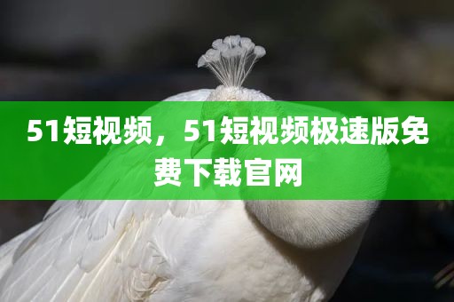 51短视频，51短视频极速版免费下载官网
