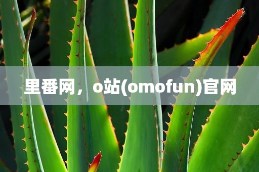 里番网，o站(omofun)官网