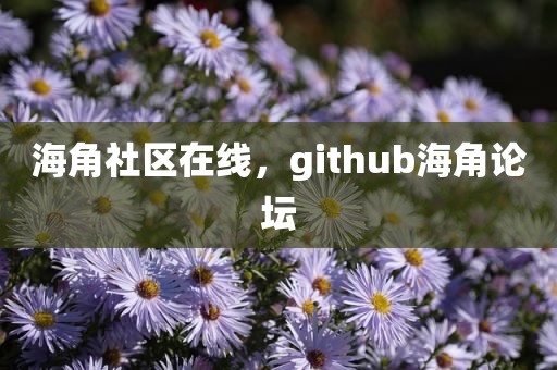 海角社区在线，github海角论坛
