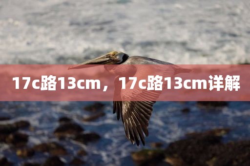 17c路13cm，17c路13cm详解