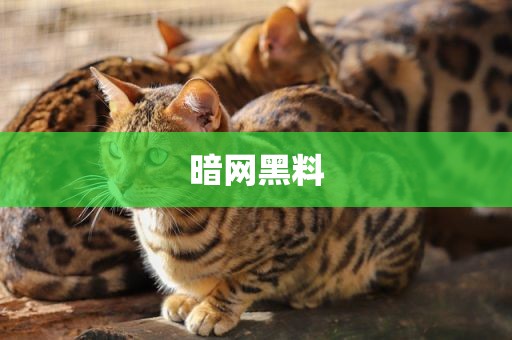 暗网黑料