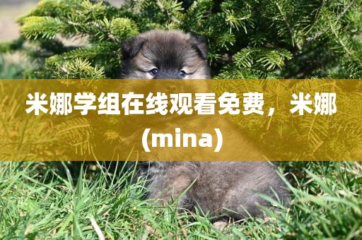 米娜学组在线观看免费，米娜(mina)