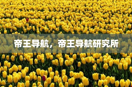 帝王导航，帝王导航研究所