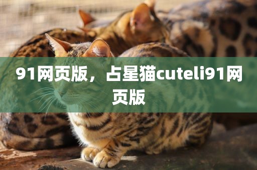 91网页版，占星猫cuteli91网页版