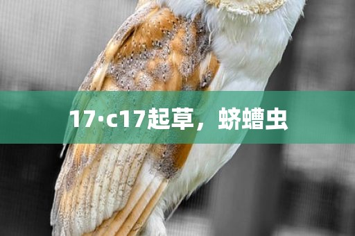 17·c17起草，蛴螬虫