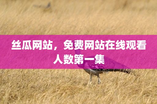 丝瓜网站，免费网站在线观看人数第一集