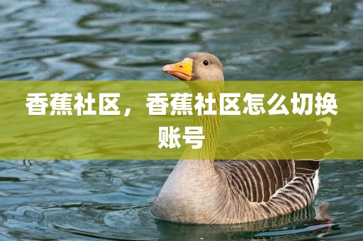 香蕉社区，香蕉社区怎么切换账号