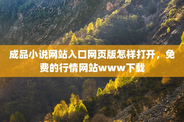 成品小说网站入口网页版怎样打开，免费的行情网站www下载