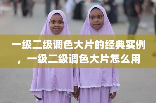 一级二级调色大片的经典实例，一级二级调色大片怎么用