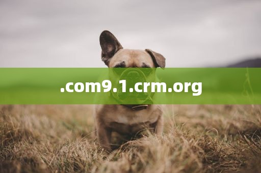 .com9.1.crm.org