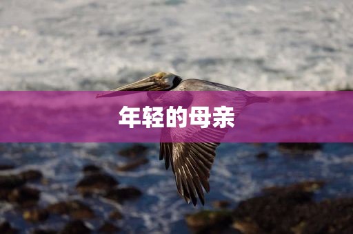 年轻的母亲