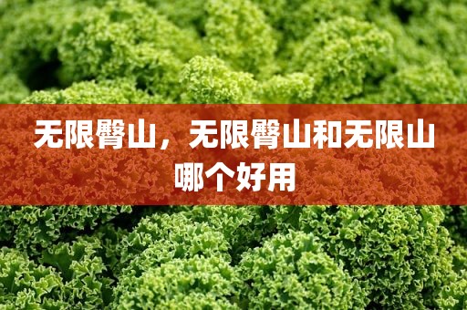 无限臀山，无限臀山和无限山哪个好用
