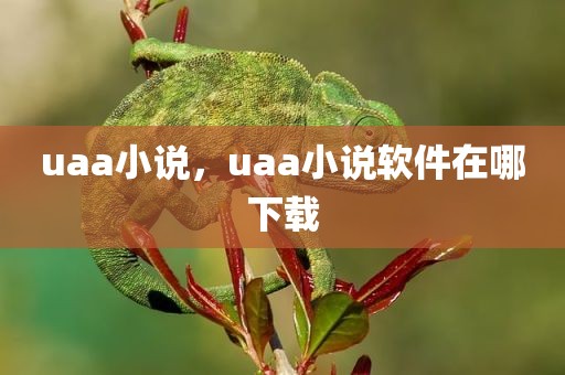 uaa小说，uaa小说软件在哪下载
