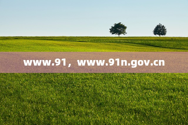 www.91，www.91n.gov.cn