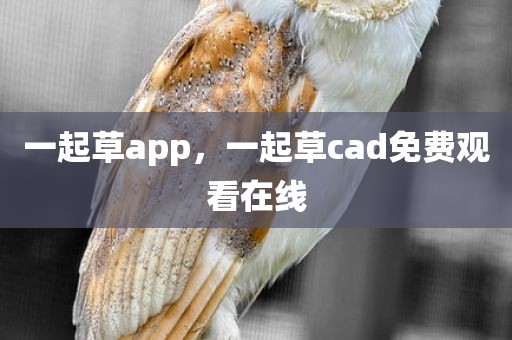 一起草app，一起草cad免费观看在线