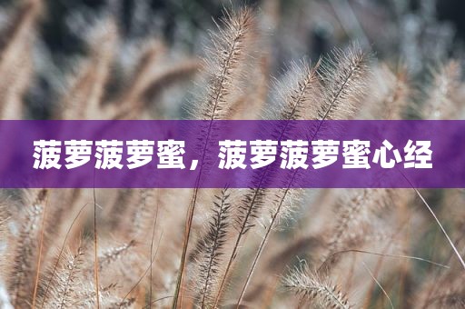 菠萝菠萝蜜，菠萝菠萝蜜心经
