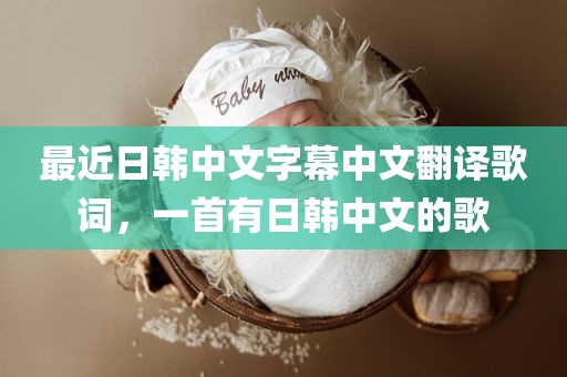 最近日韩中文字幕中文翻译歌词，一首有日韩中文的歌