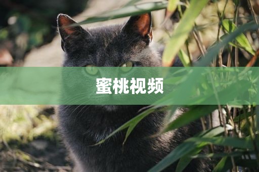蜜桃视频