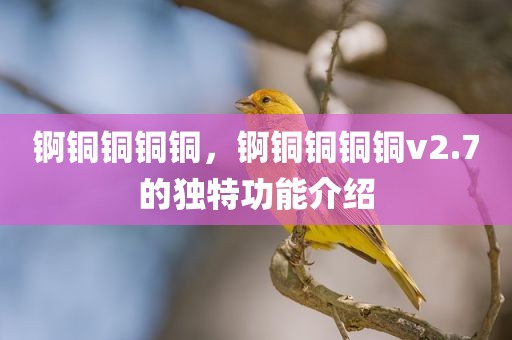 锕铜铜铜铜，锕铜铜铜铜v2.7的独特功能介绍