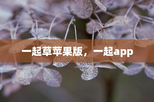 一起草苹果版，一起app