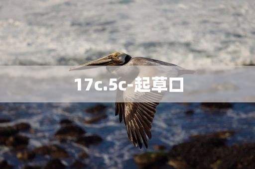 17c.5c-起草口