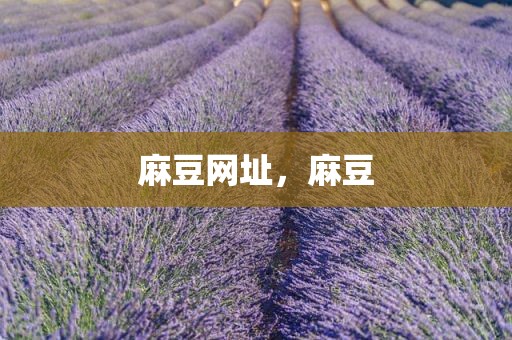 麻豆网址，麻豆