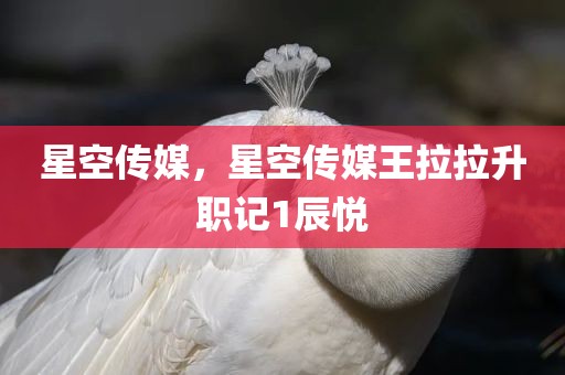 星空传媒，星空传媒王拉拉升职记1辰悦