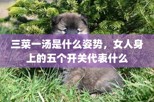 三菜一汤是什么姿势，女人身上的五个开关代表什么
