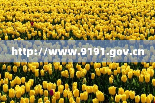 http://www.9191.gov.cn
