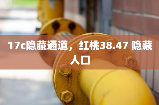 17c隐藏通道，红桃38.47 隐藏人口