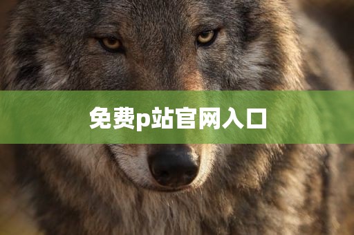 免费p站官网入口