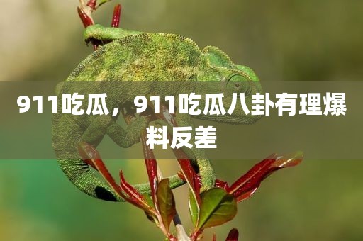 911吃瓜，911吃瓜八卦有理爆料反差