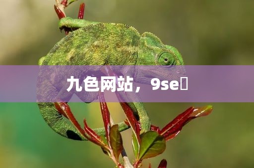 九色网站，9se 