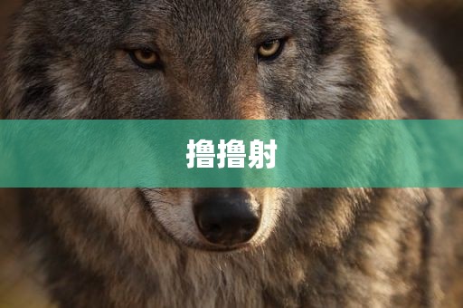 撸撸射