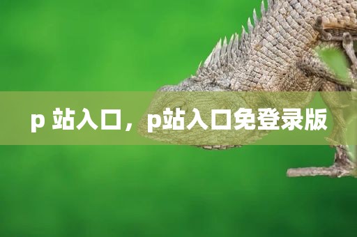 p 站入口，p站入口免登录版