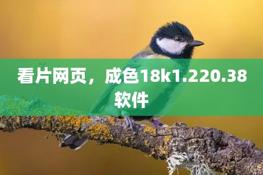 看片网页，成色18k1.220.38软件