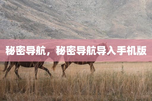 秘密导航，秘密导航导入手机版