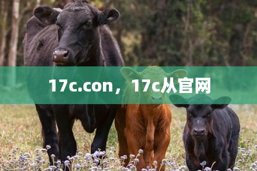 17c.con，17c从官网