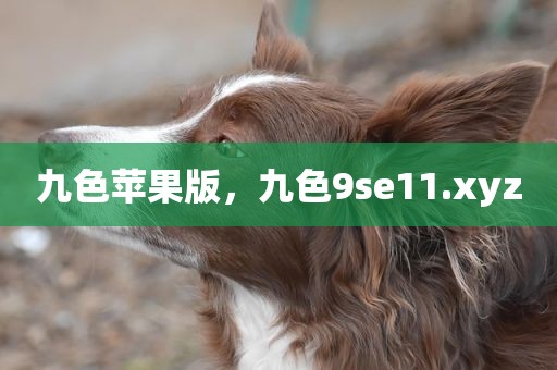 九色苹果版，九色9se11.xyz