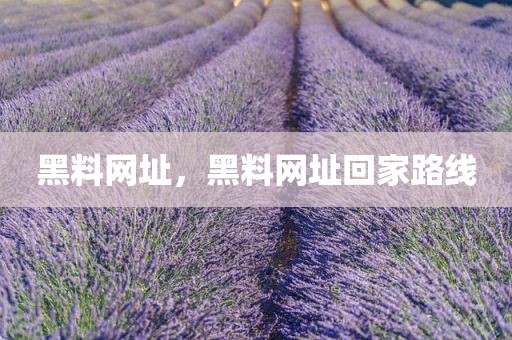 黑料网址，黑料网址回家路线