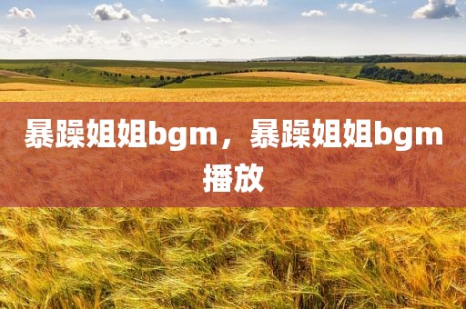 暴躁姐姐bgm，暴躁姐姐bgm播放