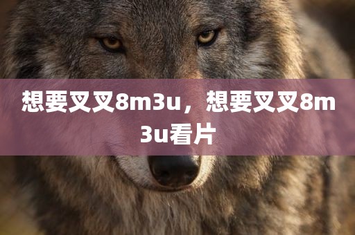 想要叉叉8m3u，想要叉叉8m3u看片